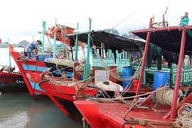 Quảng Ninh: Huy động 1.300 cán bộ, chiến sĩ sẵn sàng khi bão số 1 đổ bộ