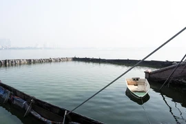 Cảnh đìu hiu của dự án thí điểm làm sạch nước hồ Tây