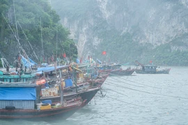 Quảng Ninh cấp tập chuẩn bị ứng phó bão số 1