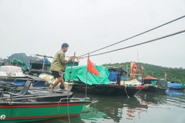 Bão số 9 chưa đến, người dân lại lo bão số 10