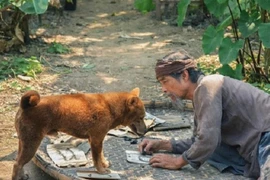 Phim Cậu Vàng chính thức rút khỏi hai rạp chiếu lớn