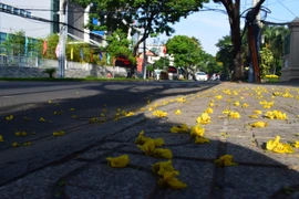 Mồng 1 Tết ở Sài Gòn: Những con đường bình yên