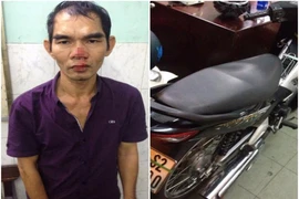 'Siêu trộm' tông vào gốc cây khi trinh sát truy đuổi