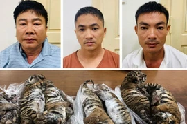 'Ông trùm' buôn bán hổ xuyên quốc gia lãnh án 6 năm tù