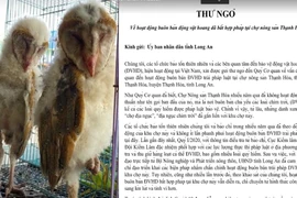 14 tổ chức bảo tồn ĐVHD gửi thư đến UBND tỉnh Long An