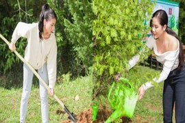 Dàn mỹ nhân Miss Earth Việt Nam trang phục giản đi trồng cây