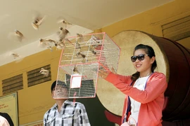 Số phận nghiệt ngã của những chú chim 'được' phóng sinh