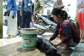 Xì khí độc ở TP.HCM, trường học và dân phải di tản