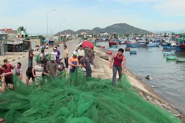 Dân Ninh Thuận chằng chống tài sản chống bão số 12