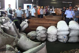 Gần 4 tấn nghi vảy tê tê cập cảng Cát Lái