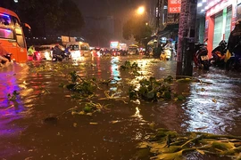 Toàn cảnh ngập của TP.HCM trong trận mưa kinh hoàng ngày 25-11