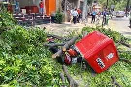 Quận 3: Cành cây to rơi trúng xe máy trên đường Võ Văn Tần