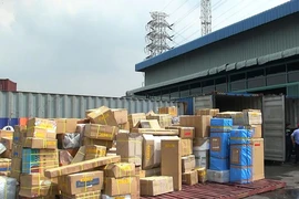 11 nhân viên Công ty Giám định Đại Minh Việt bị khởi tố