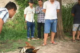 Cảnh sát từ đường thủy, bộ vây ráp trường gà cặp bờ Rạch Nước Lên