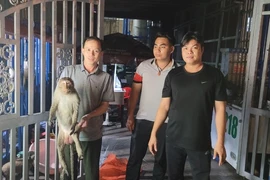 Nghe tiếng nổ, người dân phát hiện con khỉ đực nặng 10kg bị điện giật bất tỉnh