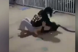 Công an làm rõ thiếu nữ bị đánh hội đồng, lột đồ ở quận 3
