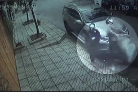 Khởi tố hình sự 2 thanh niên trộm chó bị ô tô tông văng ở quận 12