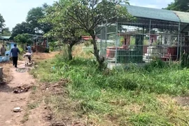 Người đàn ông tử vong bất thường ở nghĩa trang Bình Hưng Hòa