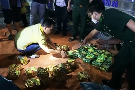 1 tháng bắt hơn 2 tạ ma túy, Công an TP.HCM được Bộ Công an khen