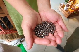 Công an làm việc với hơn 20 gia đình để tìm thủ phạm vụ bắn bi sắt gần Tân Sơn Nhất