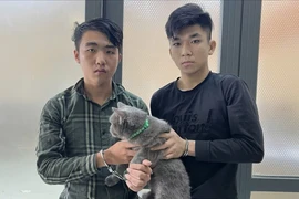Công an khởi tố, bắt giam 2 thanh niên trộm mèo ở TP.HCM
