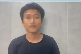 Lời khai của thanh niên vẽ bậy, rạch phá bảng thông tin ở rào chắn cầu đi bộ sông Sài Gòn