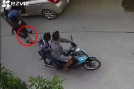 Bắt hai kẻ giật túi xách khiến 1 phụ nữ đập đầu xuống đường