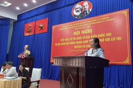 Bà Nguyễn Thị Lệ: Tôi rất xót xa trước các dự án treo kéo dài