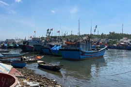 Quảng Ngãi đề nghị 10 tỉnh ngăn chặn 51 tàu cá không lắp giám sát hành trình