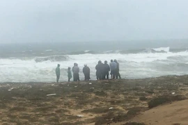 Quảng Ngãi: Sóng đánh chìm tàu cá, một người mất tích, một người tử vong