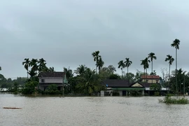 Cảnh báo lũ lụt, sạt lở, lũ quét ở Quảng Ngãi