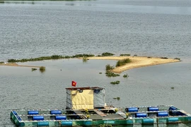 Cửa biển bồi lấp, 150 tàu cá Quảng Ngãi không thể ra khơi