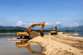 Giá cát tăng cao, thương nhân tỉnh ngoài đổ xô vào Quảng Ngãi mua cát