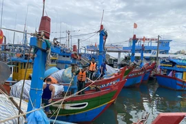 Quảng Ngãi cảnh báo khẩn 2 tàu cá đang trong vùng nguy hiểm của bão số 1