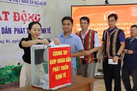 Vườn sâm Ngọc Linh bị bão tàn phá, bà con góp từng hạt sâm để khôi phục