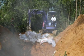  Bệnh dịch tả lợn đang hoành hành, xuất hiện thêm cúm A H5N1 