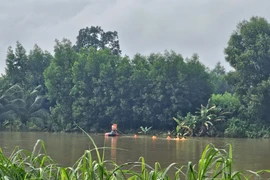 3 người bị lũ cuốn trôi khi qua cầu ngập ở Quảng Ngãi