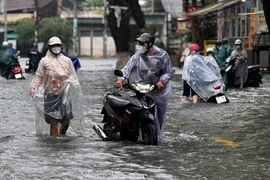 Mưa trắng trời, trung tâm Quảng Ngãi chìm sâu trong nước