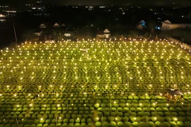 1 làng ở Quảng Ngãi thắp cả triệu bóng đèn, biến đêm thành ngày