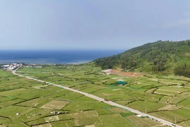 Người từ 70 tuổi trở lên ở Quảng Ngãi được đăng ký trước nơi an táng