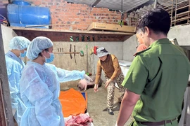 Quảng Ngãi: Siết chặt các lò mổ, ngăn heo bệnh 'đội lốt' thịt sạch dịp Tết
