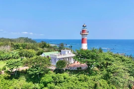 Ngắm ngọn hải đăng trên vách đá trầm tích núi lửa ở Quảng Ngãi