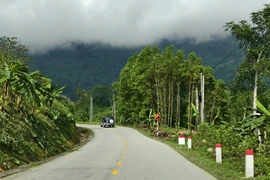 Nguy cơ tai nạn rình rập trên đèo Vi Ô Lắk