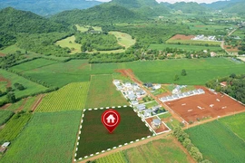 Đặt cọc xong mới phát hiện đất dính quy hoạch, đòi cọc được không?