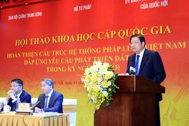 Đề xuất mới về cấu trúc hệ thống pháp luật Việt Nam