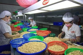 Chuyên gia châu Âu 'mách nước' cho nông sản Việt