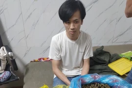 Chủ quán pub mua cần sa về bán lại bị bắt