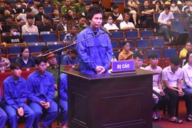 ‘Nữ quái’ nhóm ‘báo thủ’ lãnh án