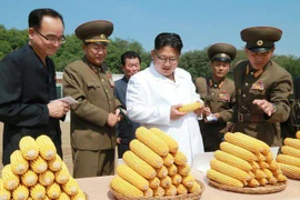 Nhà lãnh đạo Triều Tiên đi thăm một nông trang. Ảnh: AFP.