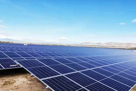 Người Thái lại bỏ nửa tỉ USD mua doanh nghiệp Việt